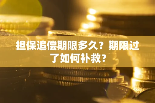 济南担保追偿期限多久？期限过了如何补救？