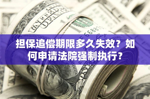 济南担保追偿期限多久失效？如何申请法院强制执行？