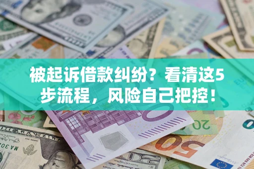 济南被起诉借款纠纷？看清这5步流程，风险自己把控！