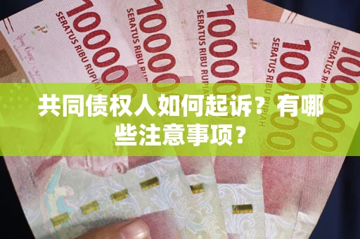 济南共同债权人如何起诉？有哪些注意事项？